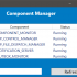SCCM Component Manager