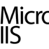 IIS Application Pool 503 errors